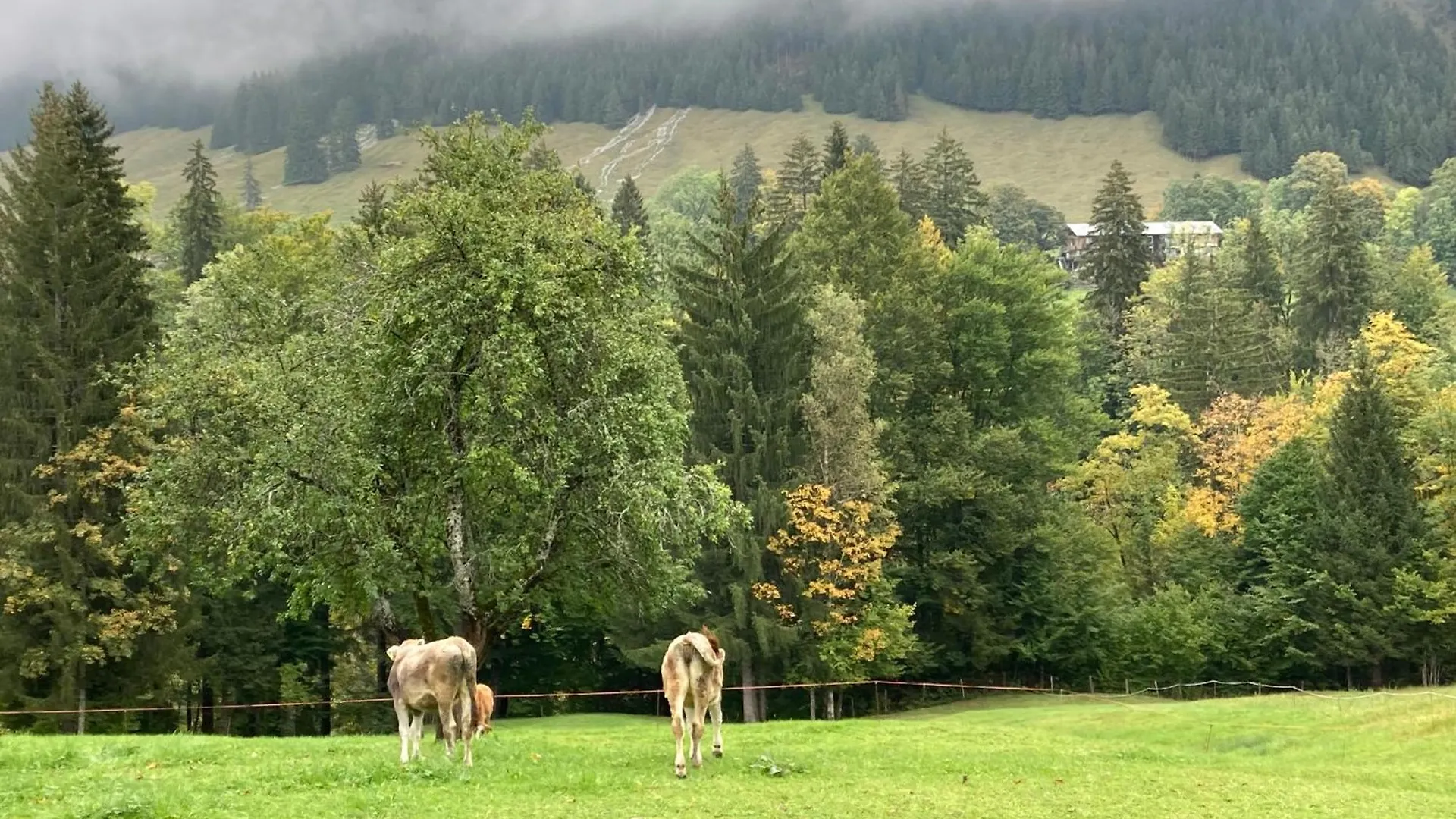 Apartment Alpenrose Komfortable Ferienresidenz Oberstdorf