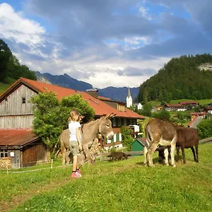  Appartement Haus Willi